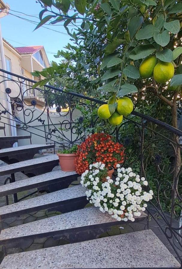 House On Ganja Street Hotel คูทายสิ ภายนอก รูปภาพ